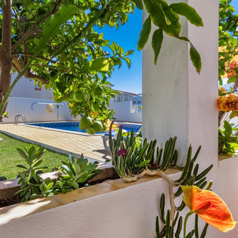 البوفيرا Apartamentos Carruna المظهر الخارجي الصورة